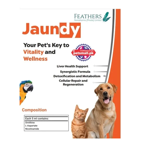 Jaundy Syrup